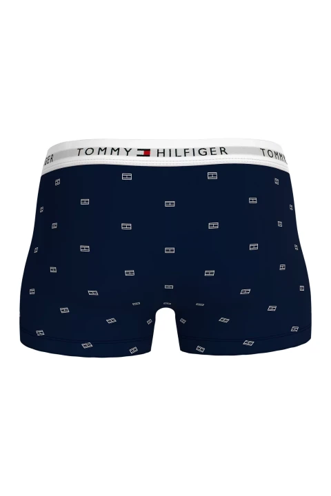 Erkek 3P TRUNK PRINT Boxer - 2