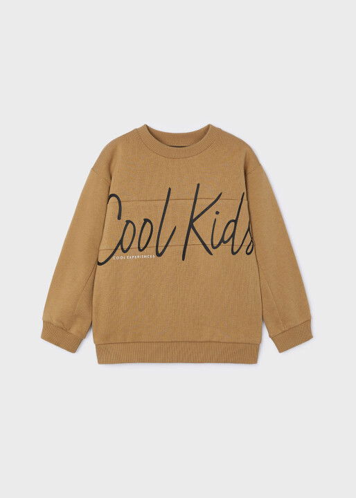 Erkek Çocuk Sweatshirt - Kahverengi - 2