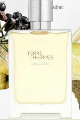 Terre D Hermes EAU Givree Edp 100 ml Erkek Parfümü - 2