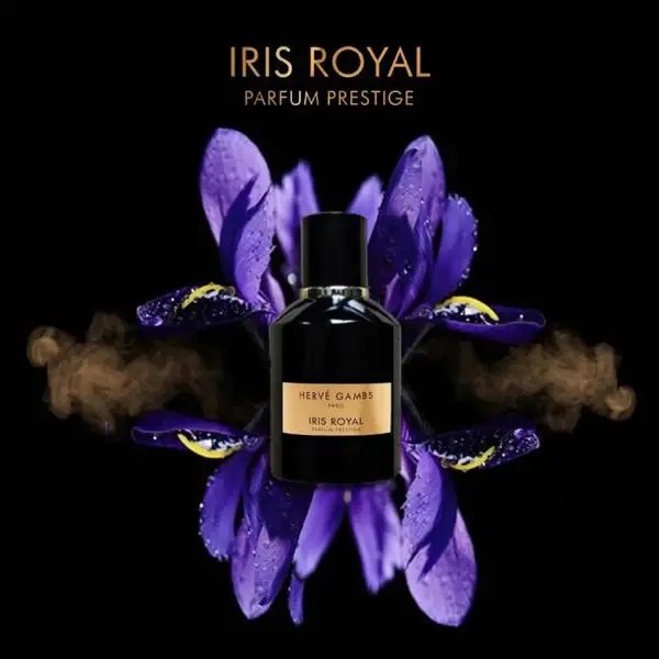 Herve Gambs Iris Royal Edp 100 ml Erkek Parfümü - 2